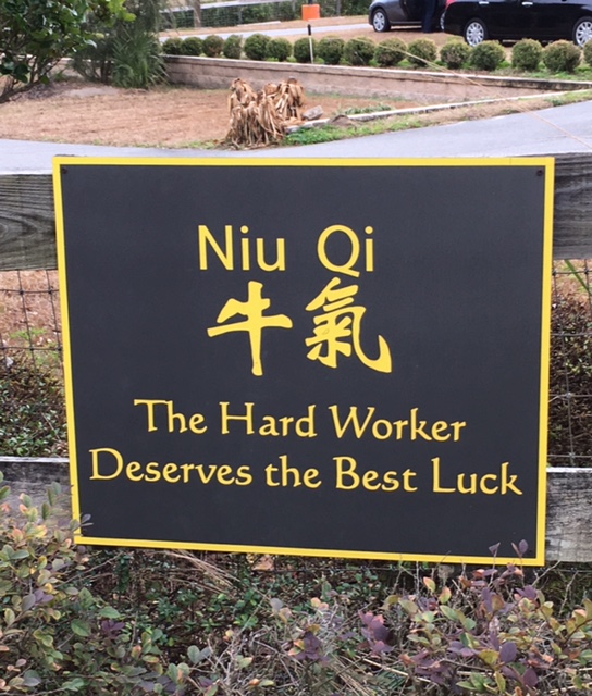 The Hard Worker Deserves the Best Luck